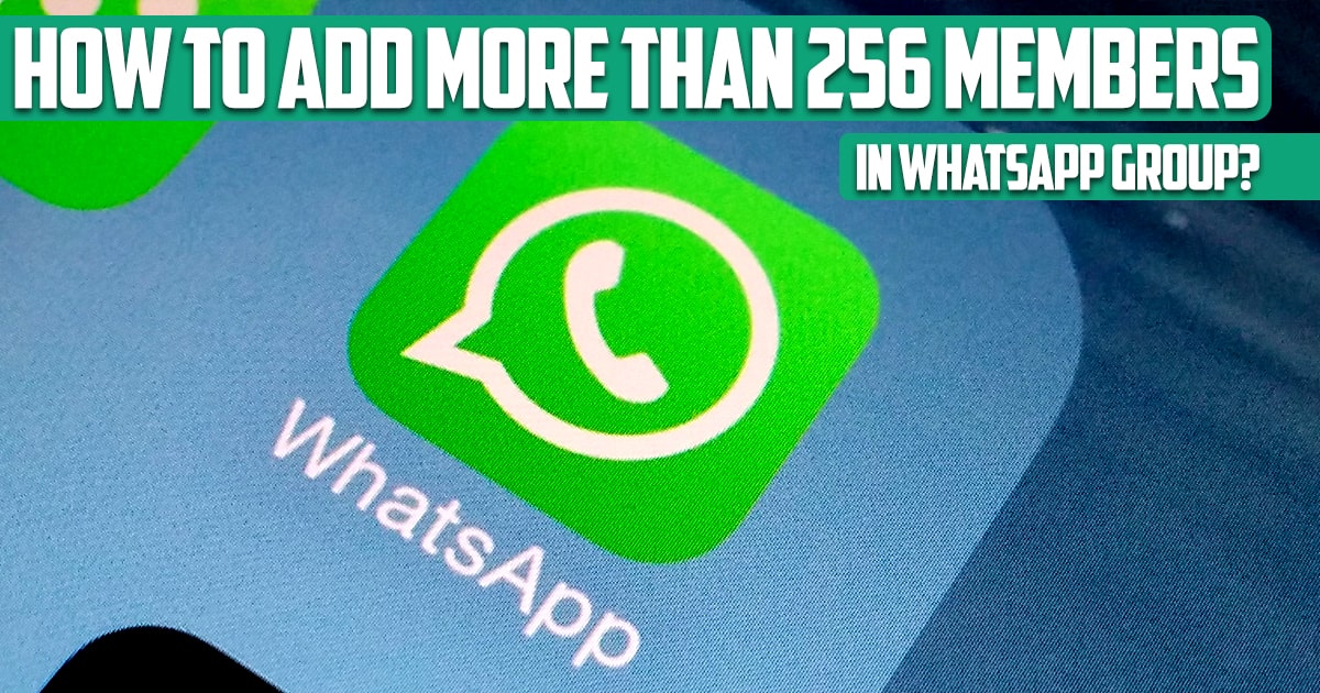 How to add more than 256 members in WhatsApp group?