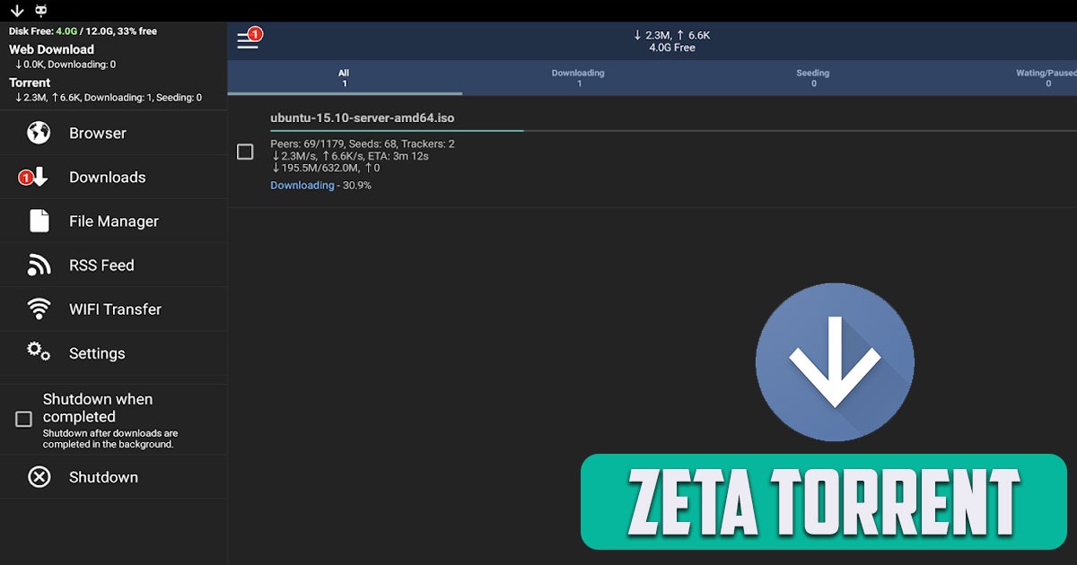 Zeta Torrent